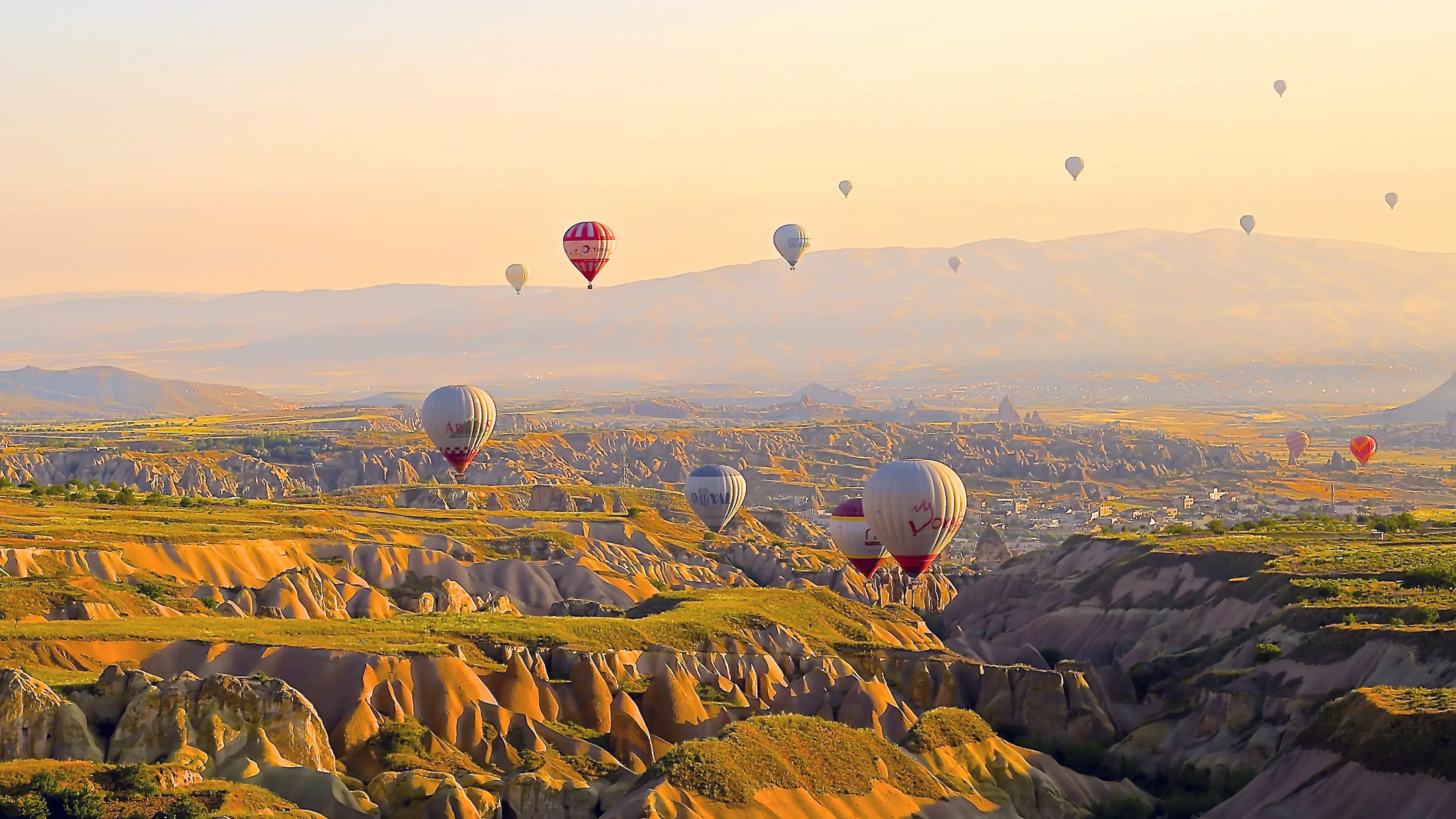 turkey